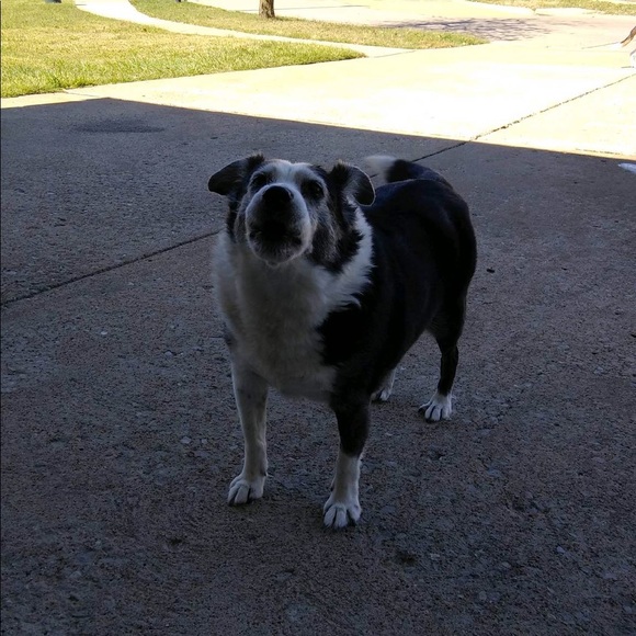 Meet your Posher, Julie - Picture 7 of 7